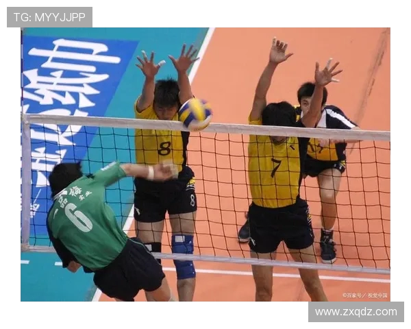 上海排球队默契配合探秘：技术与团队精神的完美结合