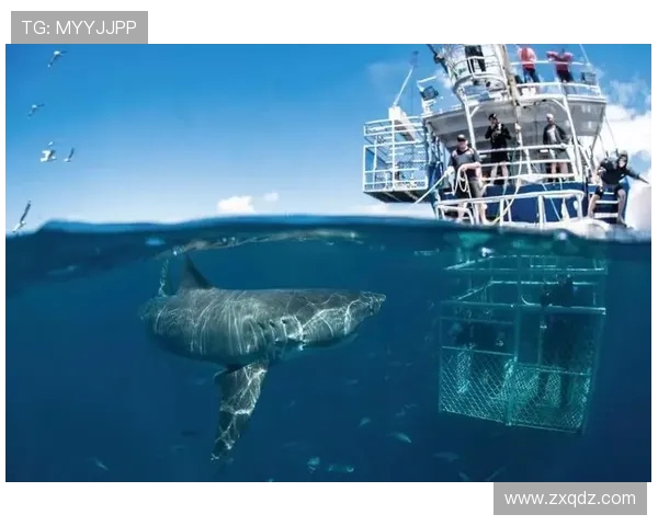 深圳极限运动队实力飙升力量排名创历史新高引关注