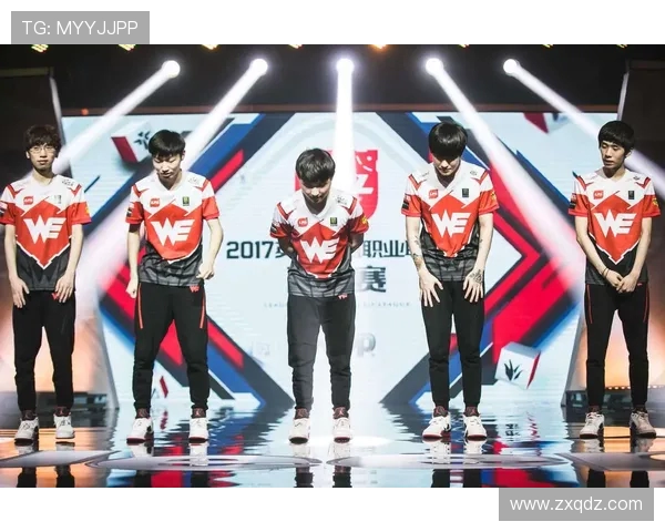 英雄联盟团队协作赛季回顾：WE战队表现卓越创新高峰