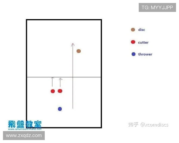 西安飞盘队区域防守战术解析与实战应用探讨