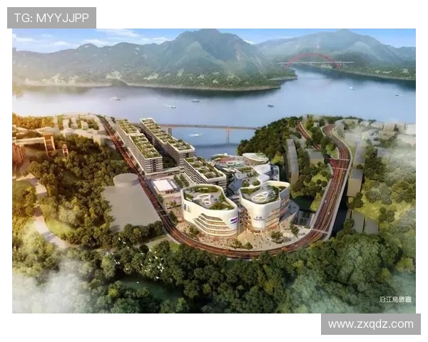 重庆乒乓球队运营模式分析与发展策略探讨