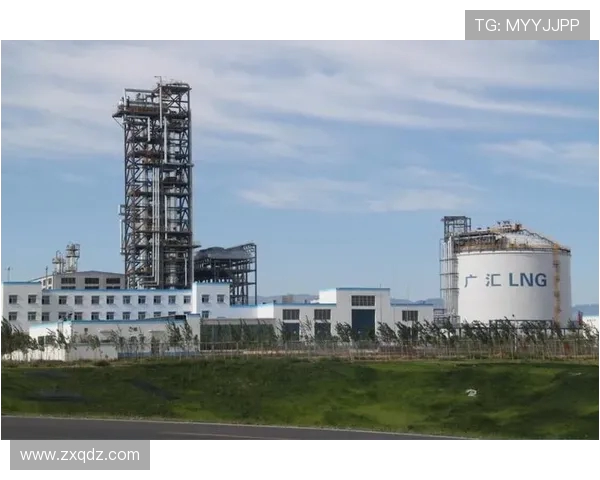 新疆广汇集团发展新蓝图:探索多元化产业升级与区域经济协同创新路径 新疆广汇集团发展新蓝图:探索多元化产业升级与区域经济协同创新路径